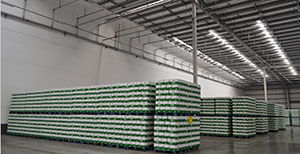 现代仓储服务的核心价值与数字化转型之路