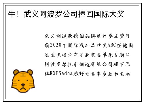 牛！武义阿波罗公司捧回国际大奖